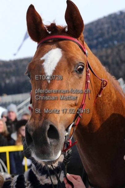 ET0Q0728 prot